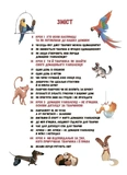 Секрети домашніх улюбленців. Дбаю. Доглядаю. Відповідаю. Изображение №1