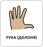 Картки з піктограмами. Гігієна. Моє тіло. Изображение №3