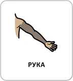 Картки з піктограмами. Гігієна. Моє тіло. Изображение №4