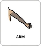 Картки з піктограмами. Гігієна. Моє тіло. Изображение №5