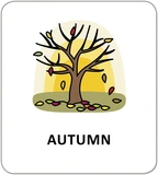 Картки з піктограмами. Природні явища. Пори року. Зображення №3