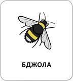 Картки з піктограмами. Тварини. Изображение №2