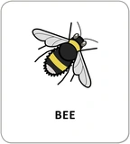 Картки з піктограмами. Тварини. Изображение №3