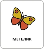 Картки з піктограмами. Тварини. Изображение №4