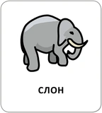 Картки з піктограмами. Тварини. Изображение №6