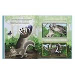 Єнотик Честер і великий задирака. Зображення №3