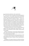 Що приховує ліс. Зображення №1