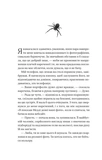 Що приховує ліс. Зображення №4
