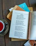 Іван Франко. Вибрана поезія. Чому являєшся мені… (кишеньковий формат). Зображення №5