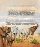 Як зрозуміти тварин. Зображення №5