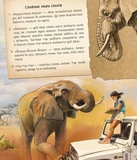 Як зрозуміти тварин. Зображення №6