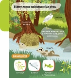 Моя перша звуконаука. Ліс. Изображение №5