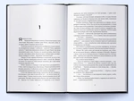 Цитонікиня. Небовись. Книга 3. Зображення №3