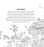 Розкішні дерева. Розмальовка. Изображение №1