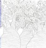 Розкішні дерева. Розмальовка. Изображение №3