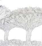 Розкішні дерева. Розмальовка. Изображение №6