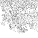 Квітучі сади. Розмальовка. Изображение №2