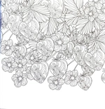 Квітучі сади. Розмальовка. Изображение №3