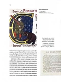 У ліжку з ведмедем. Зображення №5