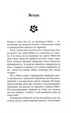 Таємничий світ котів. Зображення №5