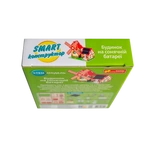 SMART конструктор "Будинок на сонячних батареях". Зображення №1