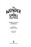 The Wonder of Small Things: Poems of Peace and Renewal. Зображення №1