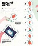 Серце. Історія, наука і багато любові. Изображение №2