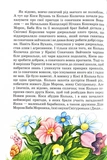 Дивовижні пригоди в лісовій школі. Таємний агент Порча і козак Морозенко. Таємниці лісею "Кондор". Изображение №5
