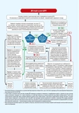 ПДР 2026 з коментарями та ілюстраціями. Зображення №5