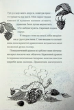 Хлопчик, який співав з драконами. Книга 5. Зображення №2