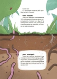 Дивовижні перетворення. Ким працюють рослини. Изображение №5
