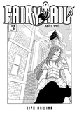 Fairy Tail. ТОМ 3. Изображение №1