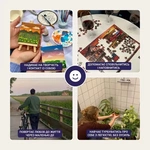 Кубики натхнення (0039). Зображення №3