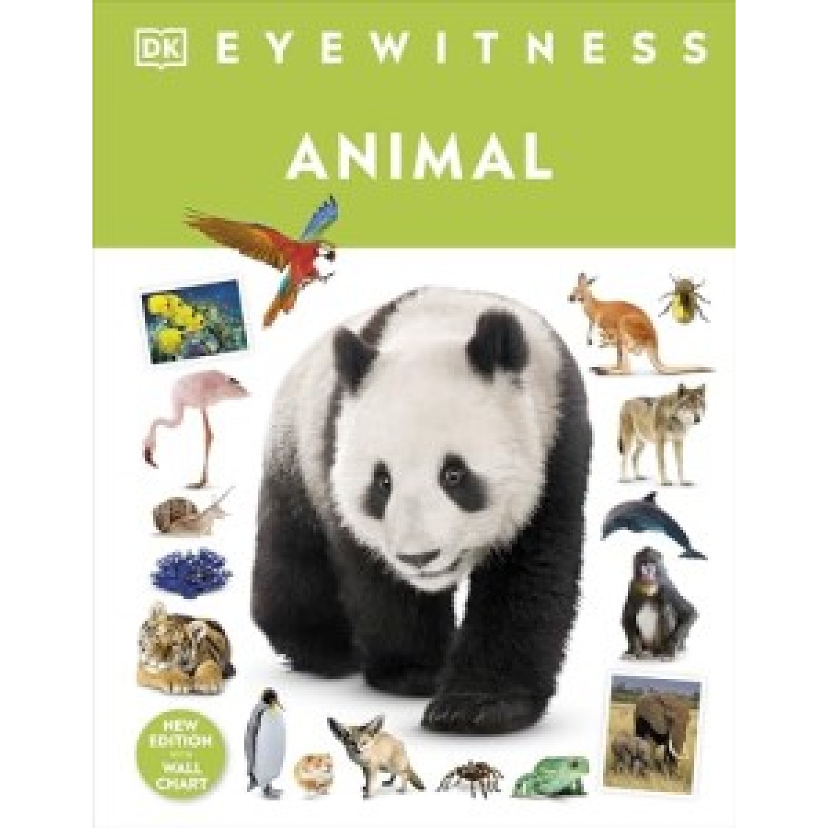 Eyewitness: Animal Eyewitness: Animal