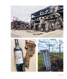 Wines of Ukraine. The Untold Story. Зображення №3