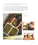 Wines of Ukraine. The Untold Story. Зображення №6