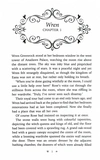 Burning Crowns. Twin Crowns. Book 3. Зображення №1