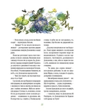 Домовичок з палітрою. Зображення №4