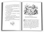 Павутиння Шарлотти. Изображение №3