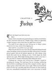 Powerless. The Powerless Trilogy. Book 1. Изображение №3