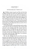 Peter Pan. Зображення №6 Peter Pan. Зображення №6