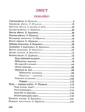 Весела стежина. Зображення №4