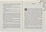Зільбер. Друга книга сновидінь. Зображення №3