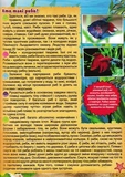 Підводний світ. Велика книга. Дитяча енциклопедія. Изображение №1