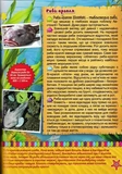 Підводний світ. Велика книга. Дитяча енциклопедія. Изображение №2