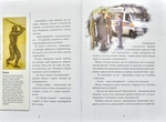 Хроники Архео. Проклятие золотого дракона. Книга 4. Изображение №3