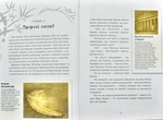 Хроники Архео. Проклятие золотого дракона. Книга 4. Изображение №4