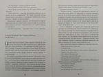 Подорож Цильки. Изображение №4