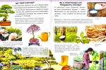 Велика дитяча енциклопедія у запитаннях і відповідях. Зображення №5