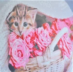 Алмазная мозаика Котик в корзине 50х50 см GA0012. Изображение №3 Алмазная мозаика Котик в корзине 50х50 см GA0012. Изображение №3